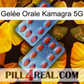 Gelée Orale Kamagra 5G 05